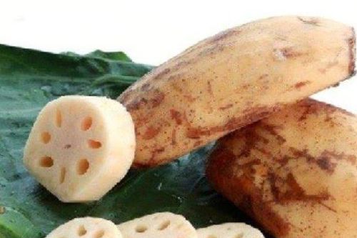 Hé lộ bí mật về loại cây sống trong bùn lầy, tất cả các bộ phận đều là 'thần dược'