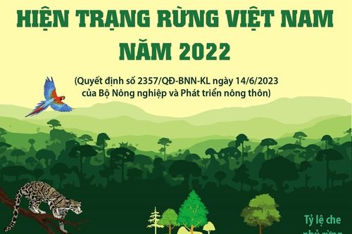 Hiện trạng rừng Việt Nam năm 2022