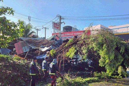 Cây ngã, trần nhà đổ sập, đường ngập sau mưa kèm giông lốc ở TP.HCM