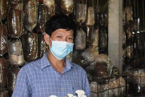 Cơ duyên tìm dược liệu chữa bệnh cho bố đến trồng nấm kiếm tiền tỷ
