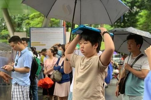 Hơn 1500 thí sinh học bạ điểm 10 tranh suất vào lớp 6