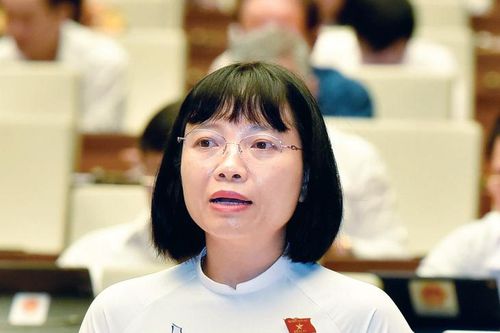 ĐBQH Nguyễn Thị Việt Nga (Hải Dương): Luật hóa, bảo đảm điều kiện cho hoạt động của lực lượng tham gia bảo vệ an ninh, trật tự ở cơ sở