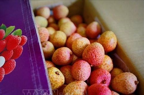 Xúc tiến hiệu quả giúp nông sản Việt vươn xa