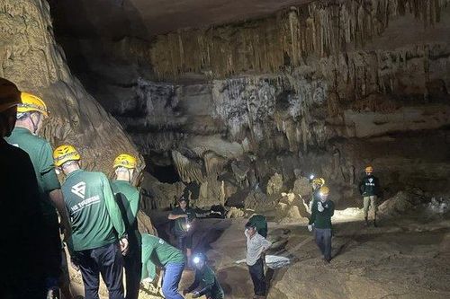 Nghiên cứu khoa học là nền tảng cơ bản để bảo tồn và phát huy các giá trị ngoại hạng