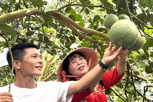 Làm du lịch trên nền nông thôn mới ở Đồng Nai