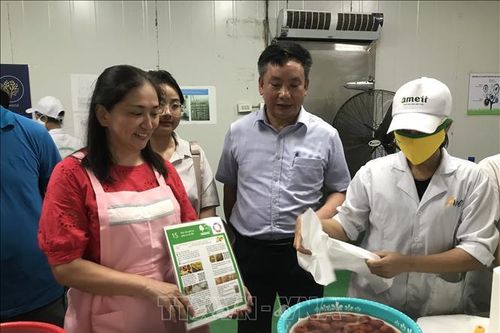 Hải Dương chuyển giao công nghệ lên men, bảo quản quả vải