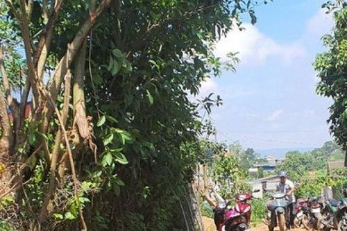 Tin tức 24h qua: Cha sát hại 3 con nhỏ rồi tự tử ở Lâm Đồng