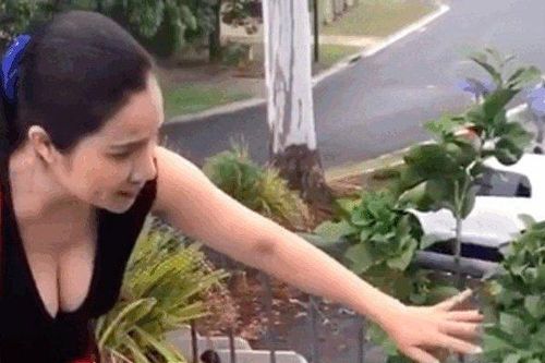 'Bà mối quốc dân' Cát Tường khoe cơ ngơi gia đình nhìn phát mê ở Úc