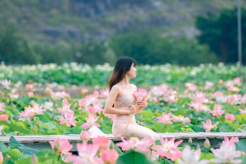Đi Ninh Bình ngắm sen với một triệu đồng