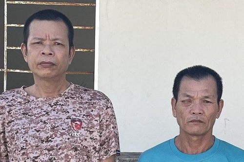 Bắt giam 2 đối tượng hủy hoại rừng ở Phú Quốc