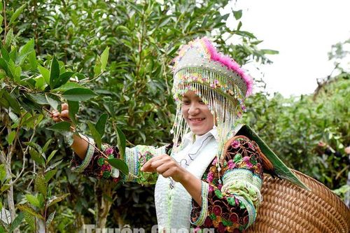 Niềm vui của bản