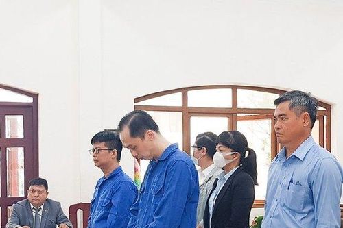 Cựu giám đốc trung tâm thuộc Sở KH&CN lĩnh án 13 năm tù
