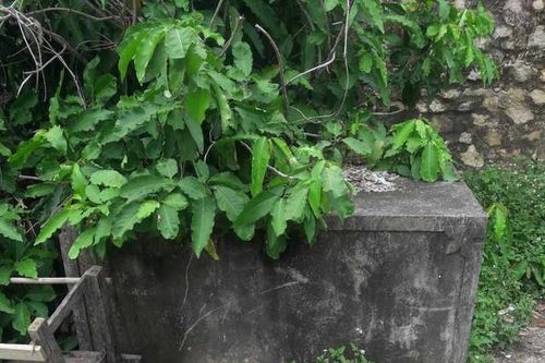 Nhiều công trình cấp nước sinh hoạt ở miền núi Thanh Hóa xuống cấp, hư hỏng