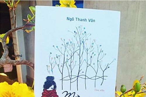 Có một miền sương trên phố