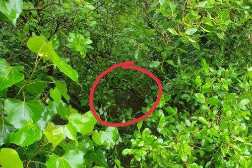 Tìm thấy thi thể người đàn ông mất tích 45 ngày