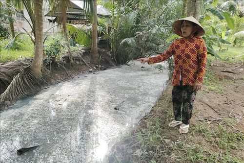 Người dân kiến nghị sớm khắc phục ô nhiễm kênh ở Giồng Trôm