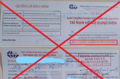 GIC sử dụng trái phép nhãn hiệu của Tập đoàn Điện lực Việt Nam