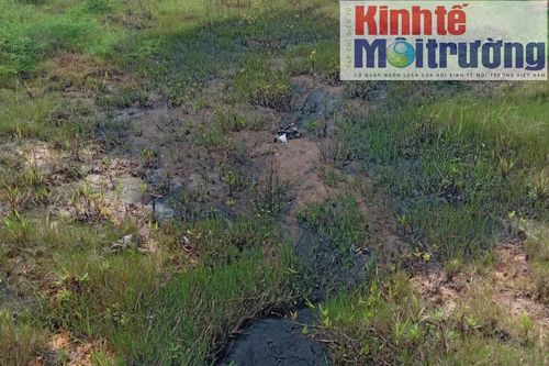 Lâm Đồng: Bãi chứa chất thải công nghiệp bị phản ánh gây ô nhiễm