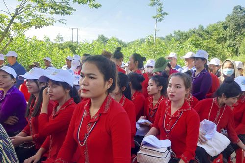Bình Định: Phát động phong trào 'Môi trường du lịch an toàn, thân thiện, hấp dẫn' tại vùng cao