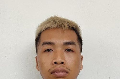 Bắt giữ đối tượng cầm đầu ổ nhóm trộm cắp xe máy liên tỉnh