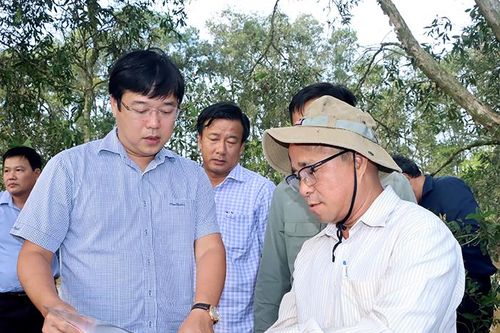 Bí thư Đồng Tháp: Phục hồi sinh cảnh tự nhiên Vườn Tràm Chim, phát triển đàn sếu đầu đỏ