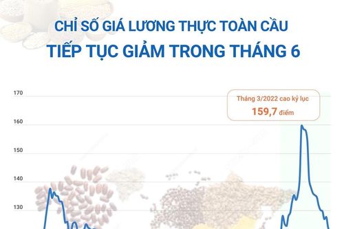 Chỉ số giá lương thực toàn cầu tiếp tục giảm trong tháng 6