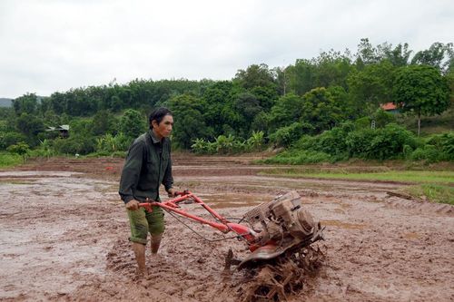 Vực lên sức đất