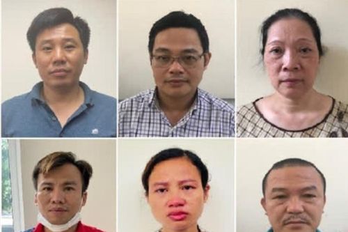 Truy tố 15 bị can liên quan vụ 'thổi giá' cây xanh