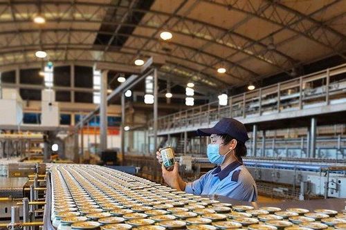 Công ty con trả cổ tức khủng, Sabeco 'nhận quà' sớm