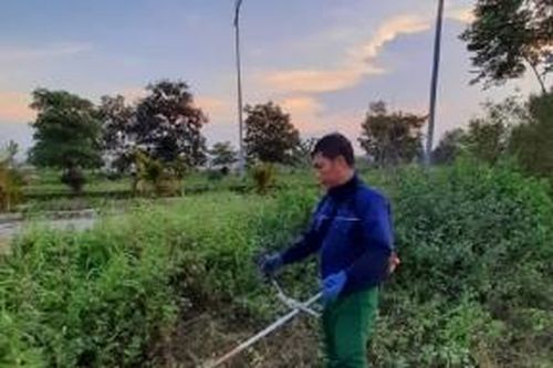Bí thư Thành ủy TP. Thanh Hóa chỉ đạo làm sạch đẹp công viên Quảng Xá