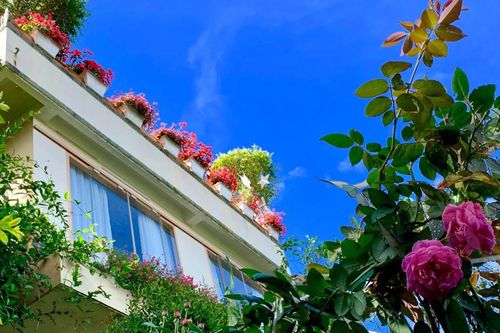 Ngôi nhà đẹp như cổ tích giữa lưng chừng đồi ở Đà Lạt
