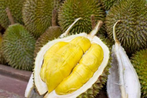 Loại quả người Việt thích mê nhưng Singapore cấm ăn nơi công cộng