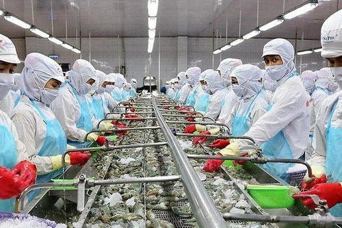 VASEP: Trung Quốc tăng cường nhập khẩu, tôm Việt Nam hưởng lợi