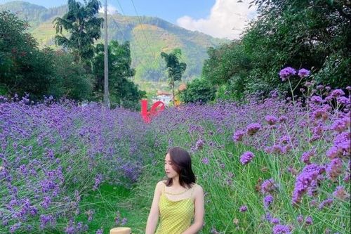 Khám phá thiên đường thung lũng hoa Bắc Hà