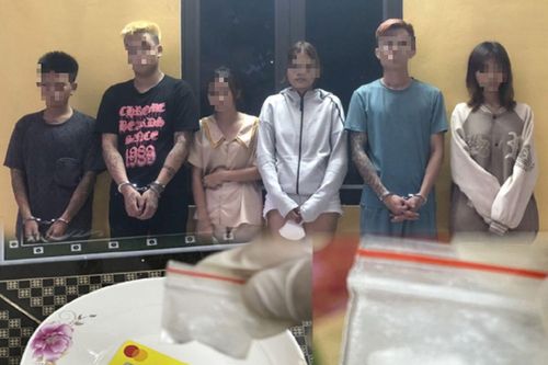 Xử lý 95 vụ, bắt 191 đối tượng trong tháng cao điểm về ma túy