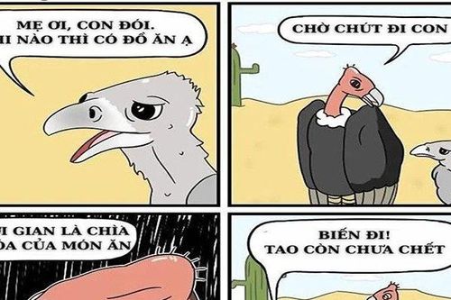 Thời gian là chìa khóa của món ăn