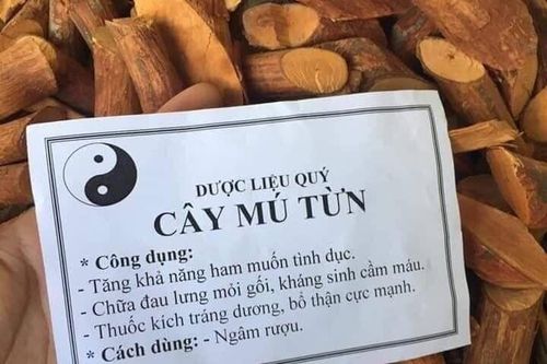 Uống nước nấu cây Mú từn, người đàn ông xuất hiện tình trạng loạn thần