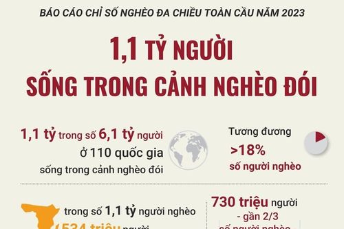 1,1 tỷ người sống trong cảnh nghèo đói