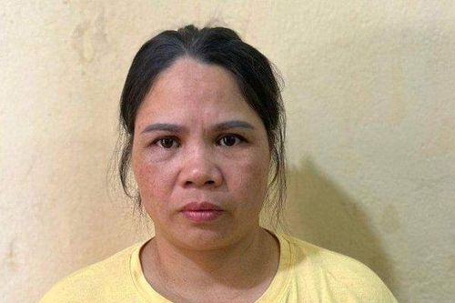 Lời khai 'bà trùm' đường dây trộm chó vừa ra tù lại bị bắt ở Thanh Hóa
