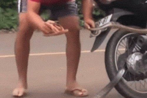 Clip: Thót tim cảnh lái xe máy bắt rắn khủng kẹp vào bánh xe