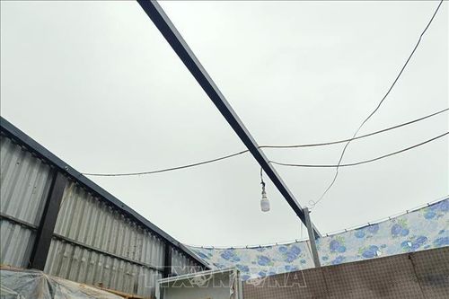 Bạc Liêu: Hỗ trợ các gia đình bị ảnh hưởng do lốc xoáy