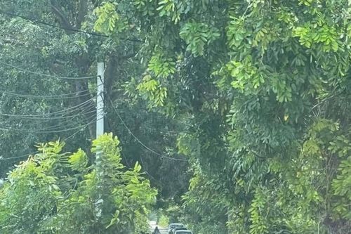 Lời khai nghi phạm giết tài xế xe ôm công nghệ ở Hà Nội