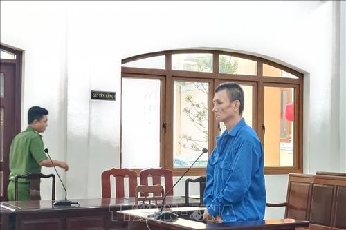 Án chung thân dành cho 'nghịch tử'