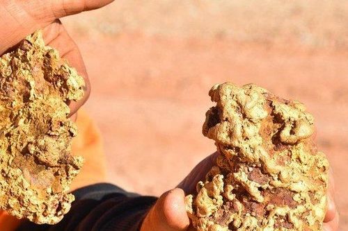 Săn tìm kho báu, hai anh em đào được 2 cục vàng khổng lồ nặng 3,5 kg