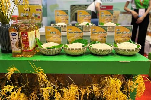 Ấn Độ cấm xuất khẩu gạo tẻ thường (Phi Basmati)