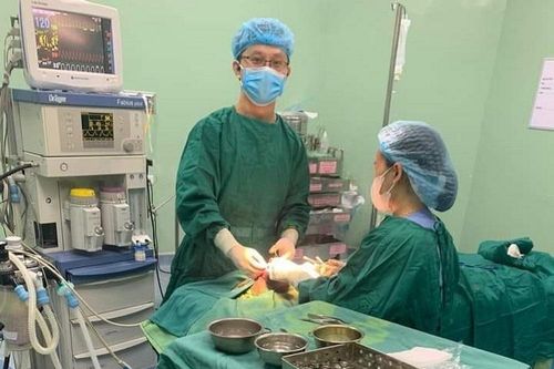 Ngồi chơi trước cửa, bé trai 5 tuổi ở Nghệ An bị chó lạ cào cắn vào mặt
