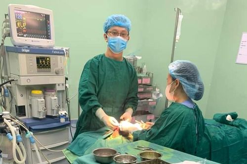 Phẫu thuật cấp cứu kịp thời cho bệnh nhi bị chó cắn vùng mặt