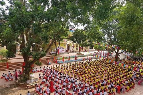 Trường Tiểu học An Lập: Không ngừng đổi mới, nâng cao chất lượng dạy và học