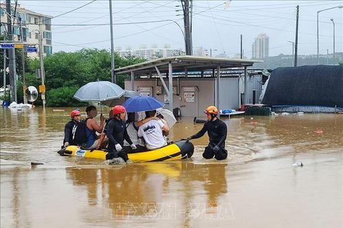 Hàn Quốc cân nhắc thành lập một tổ chức công - tư đối phó với thời tiết cực đoan