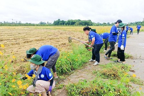 Ra quân cao điểm 'Tình nguyện chung tay xây dựng nông thôn mới và Ngày chủ nhật xanh' tại Châu Phú